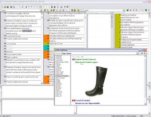 terminology management