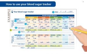 diary tracker for Novo Nordisk
