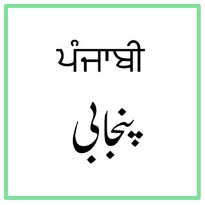 The word "Punjabi" written in both the Gurmukhi and the Shahmukhi scripts