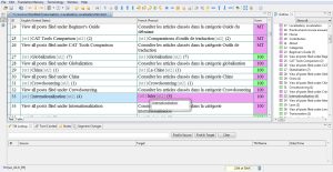 A Translation Memory with English source copy and corresponding French translations