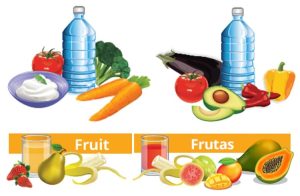 English source compared to Spanish translation of patient guides to healthy meal planning