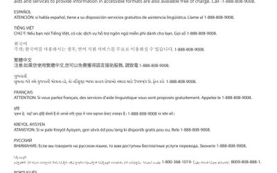 The wide spectrum of multilingual healthcare support