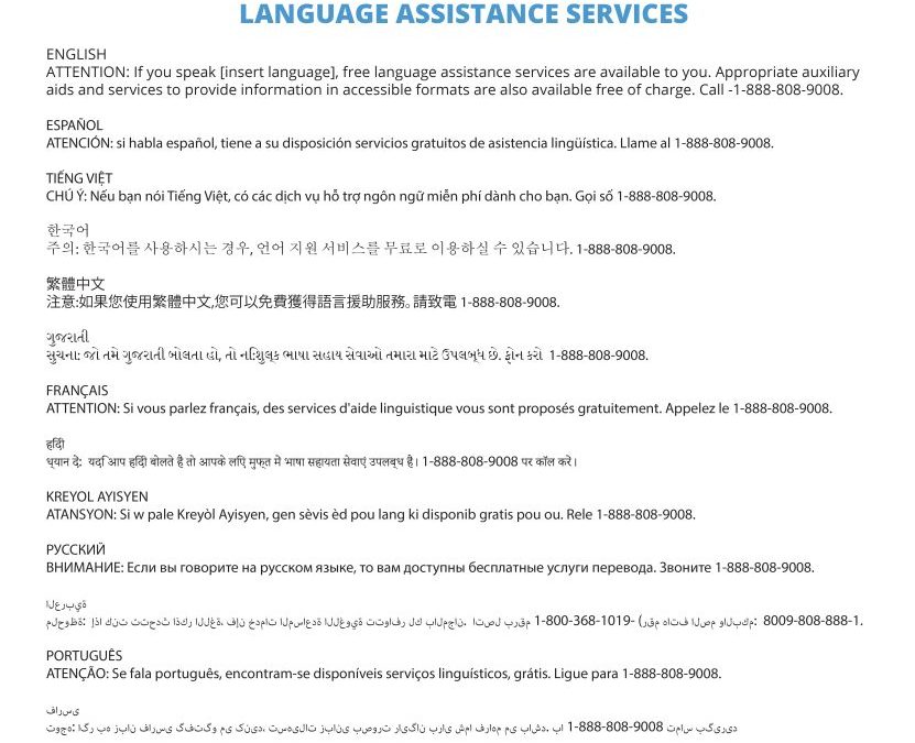 The wide spectrum of multilingual healthcare support